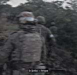 1737884155155.png