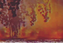1740480857661.png 1740480857661.png