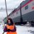 железный подорожник